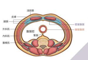 不死癌症膀胱癌的病因、症状、诊断、治疗和预后